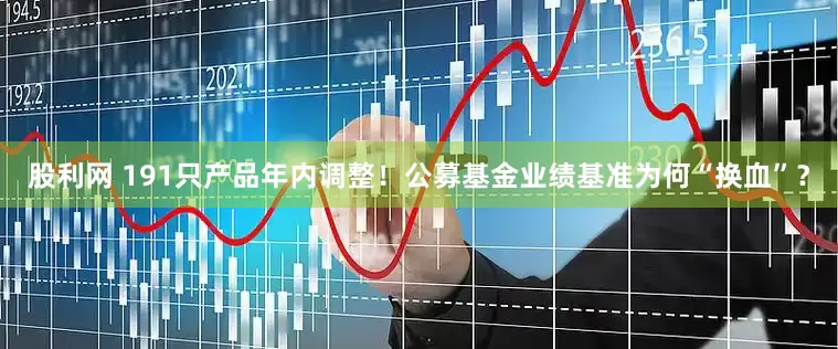 股利网 191只产品年内调整！公募基金业绩基准为何“换血”？