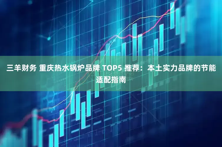 三羊财务 重庆热水锅炉品牌 TOP5 推荐：本土实力品牌的节能适配指南